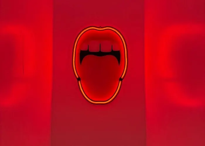 Capsule Candy - Piscine à Boules - Cinéma Privé Hébergement de vacances